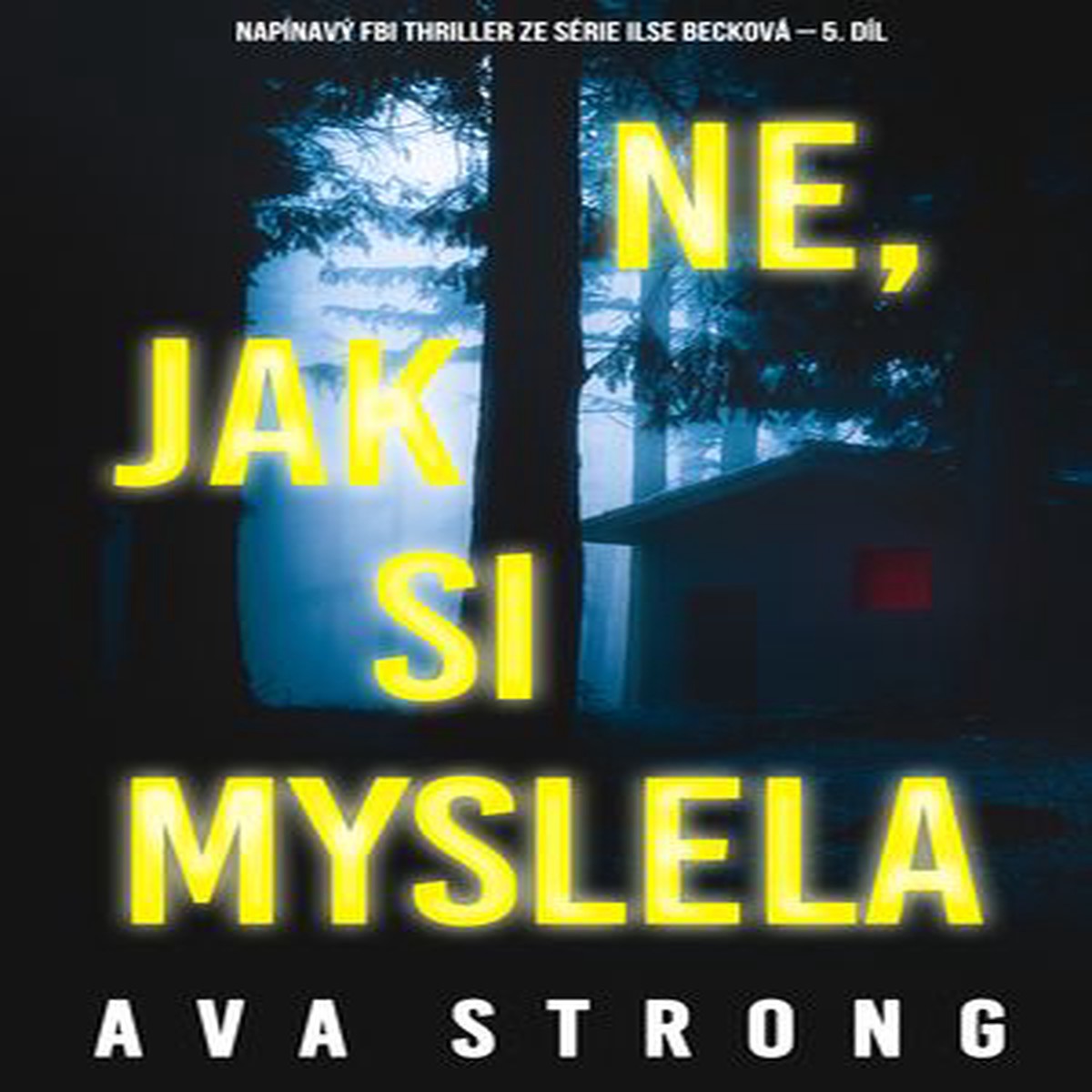 Ne, jak si myslela (napnav FBI thriller ze srie Ilse Beckov 5. dl)