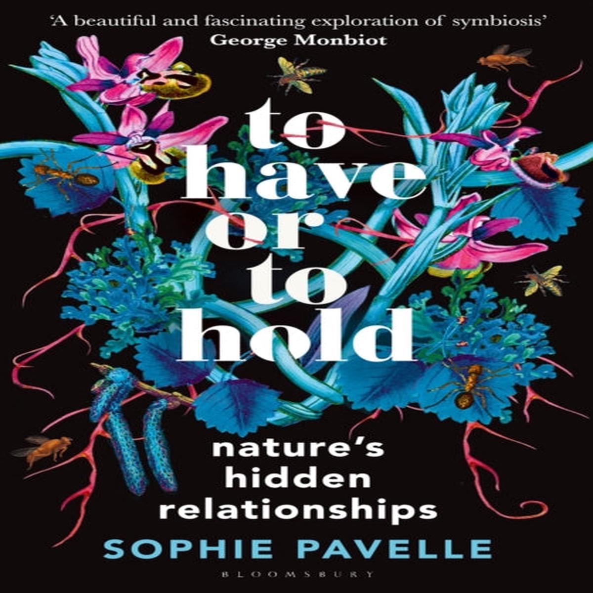 To Have or To Hold : Nature’s Hidden Relationships