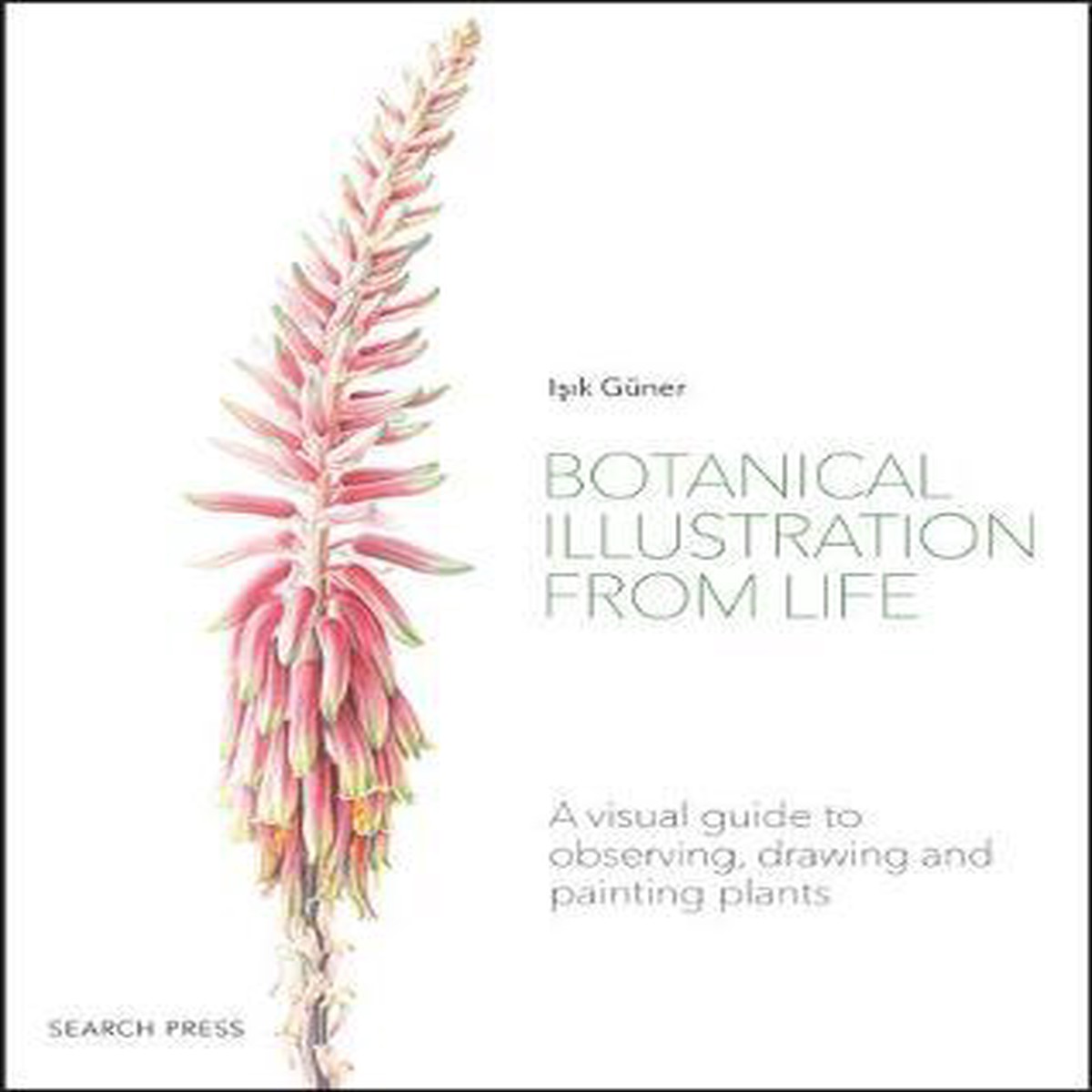 BOTANICAL ILLUSTRATION FROM LIFE