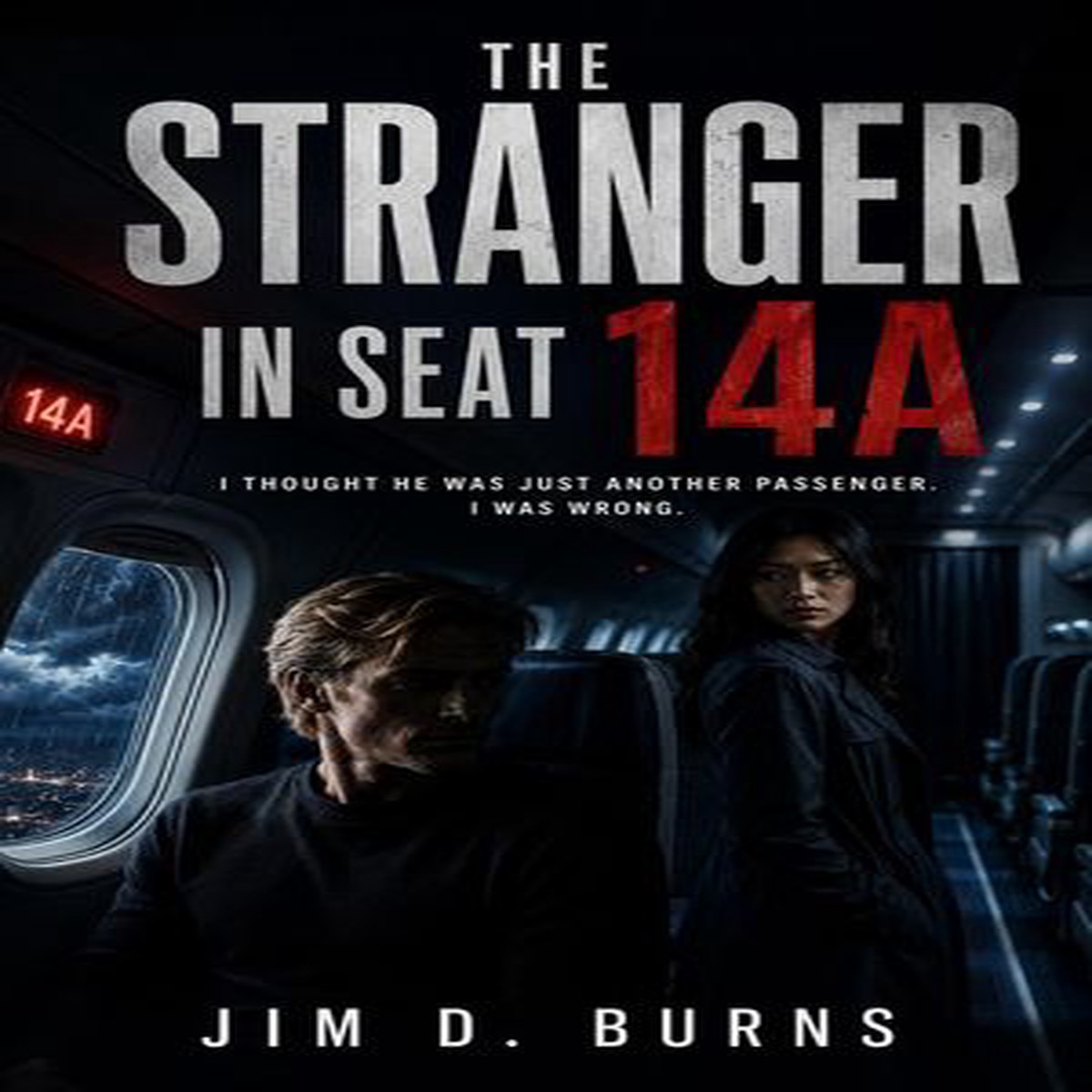The Stranger in Seat 14A
