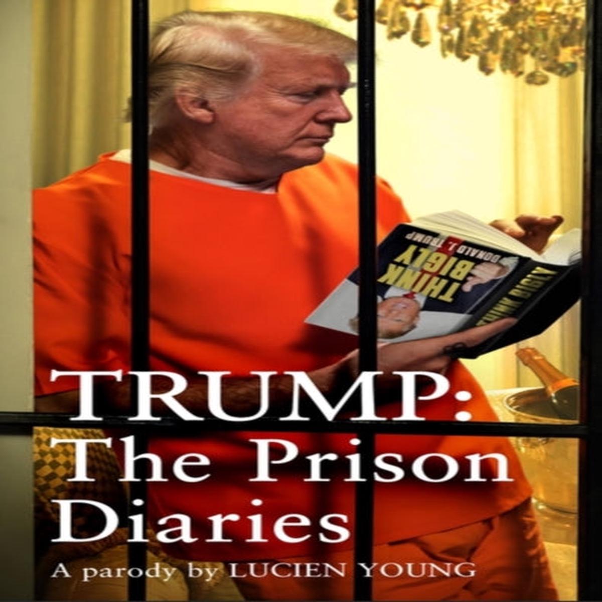 Trump: The Prison Diaries : MAKE PRISON GREAT AGAIN with the funniest satire of the year by Lucien Young