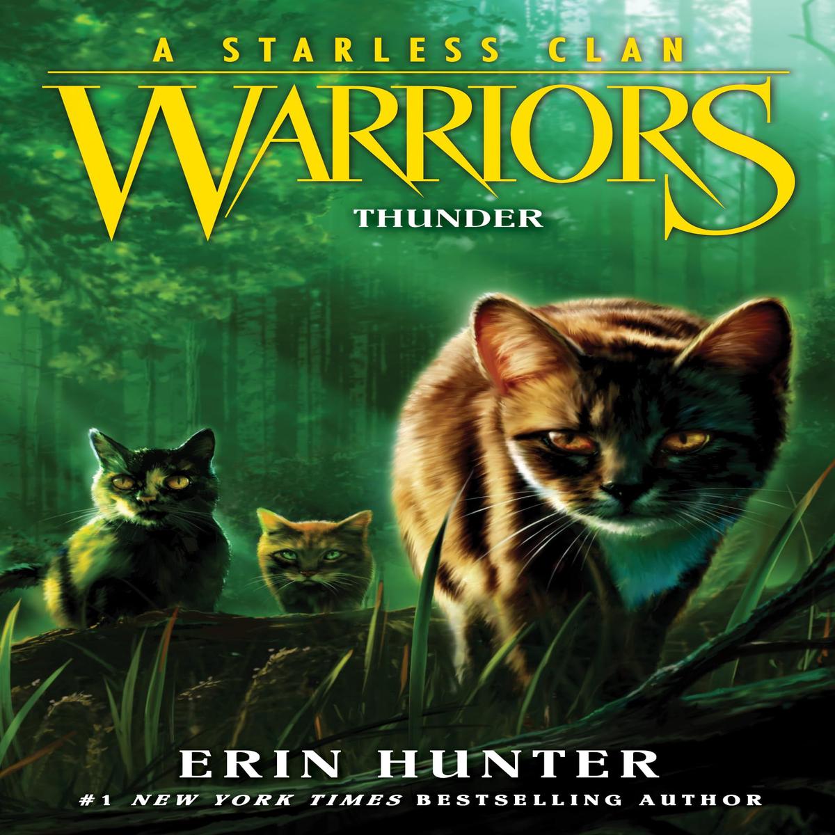 WARRIORS STARLESS CLAN04 THUNDER