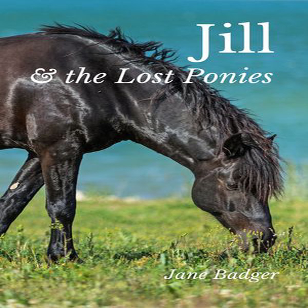 Jill and the Lost Ponies: What Happened Next