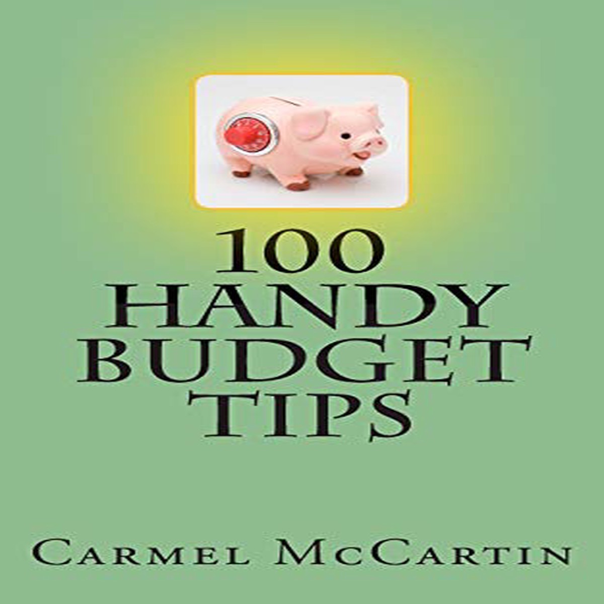 100 Handy Budget Tips UsNewIngram