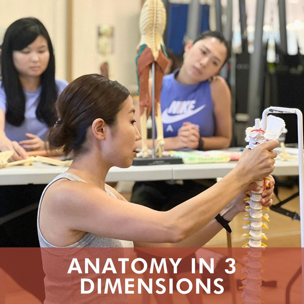 Anatomy in 3 Dimensions (Nov 2026)