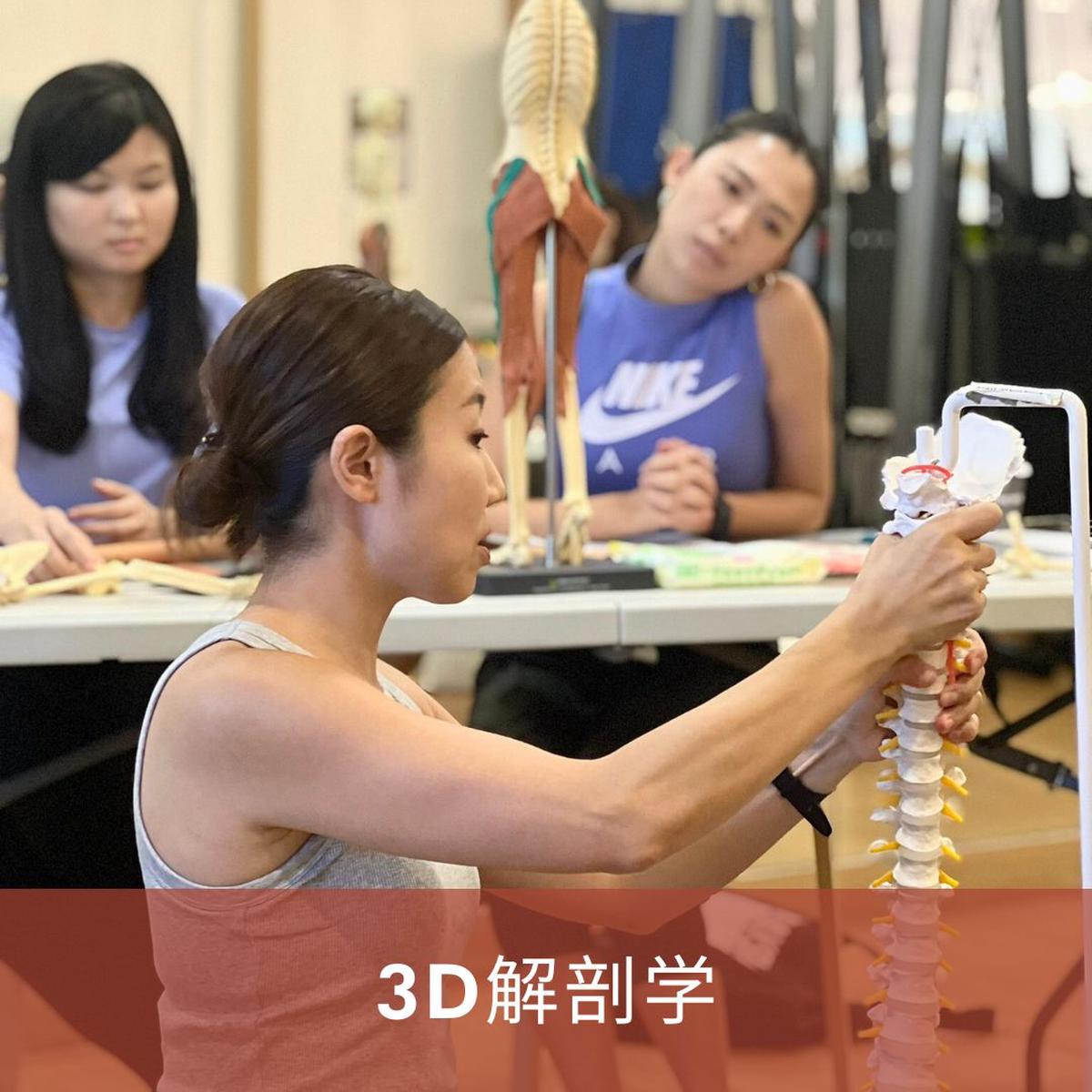 3D | Anatomy in 3 Dimensions taught in Japanese (Sep 2026)