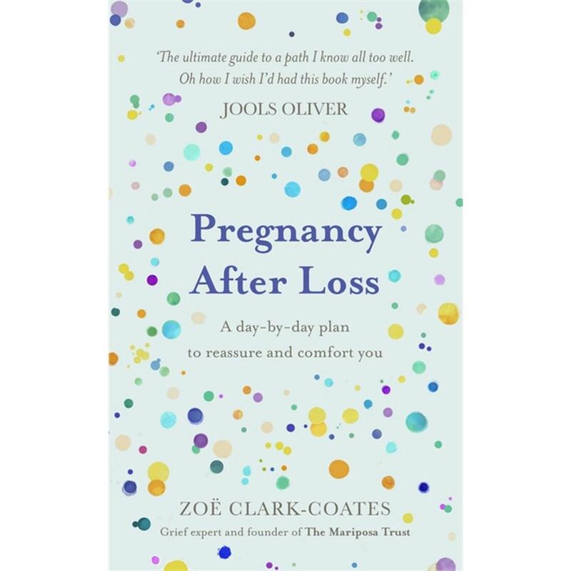 Pregnancy After Loss: A day-by-day plan to reassure and comfort you Hardcover