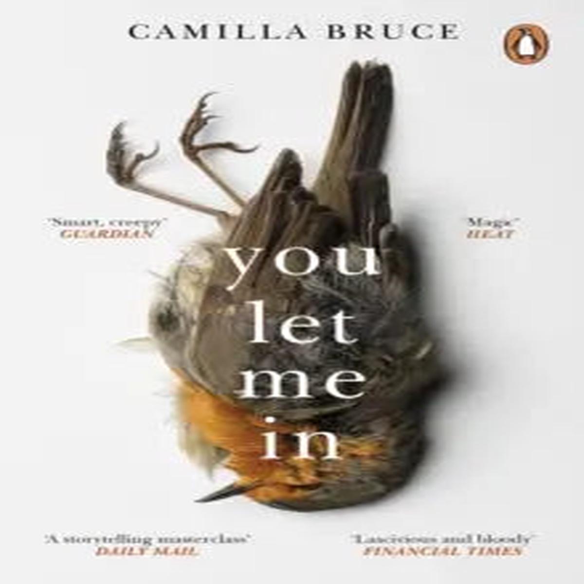 You Let Me in by Camilla Bruce