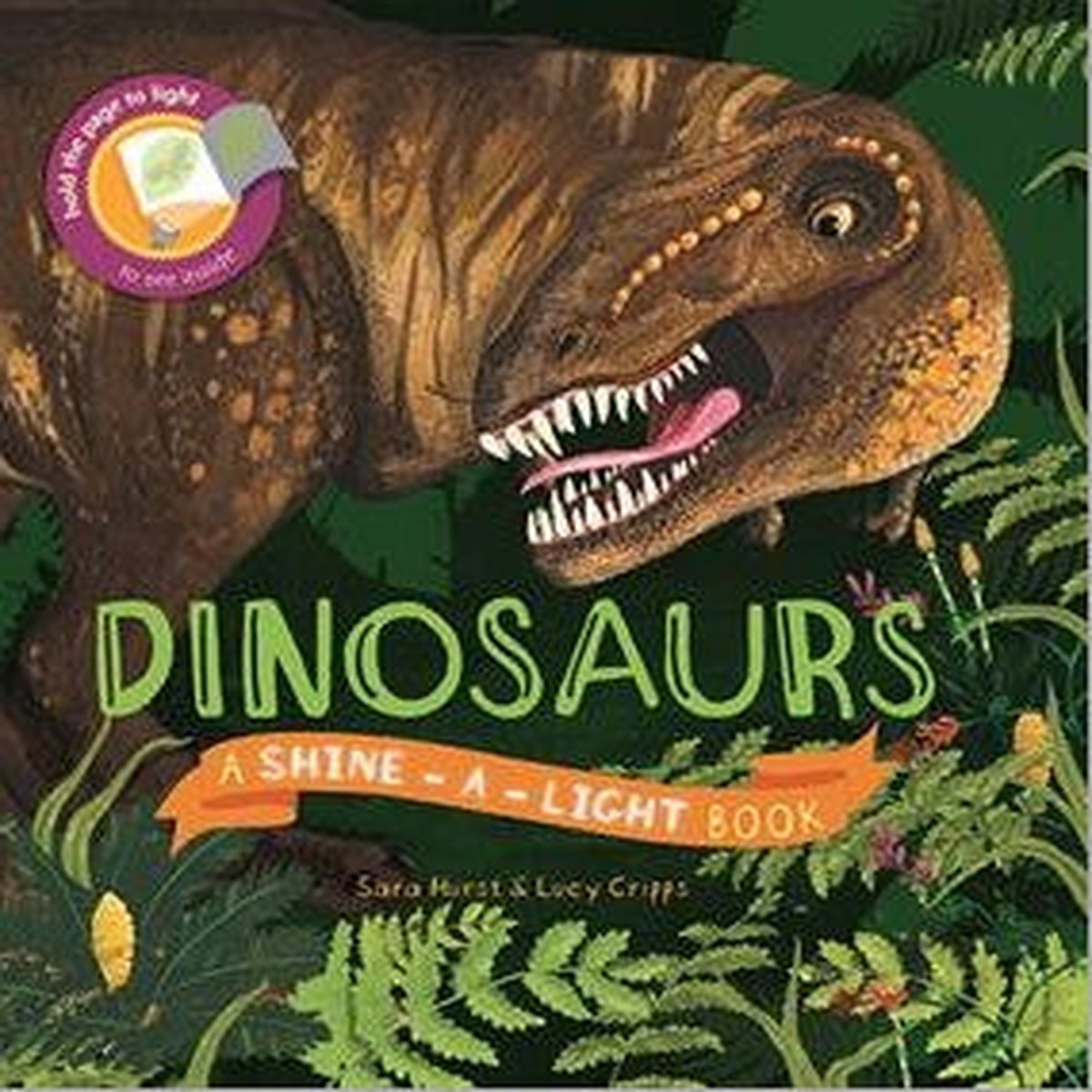 Dinosaurs: Shine-A-Light